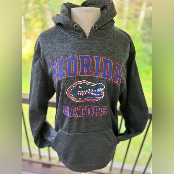 Florida Gators Colosseum Sweatshirt Hoodie  Size Large Heather Grey Unisex - Picture 2 of 8